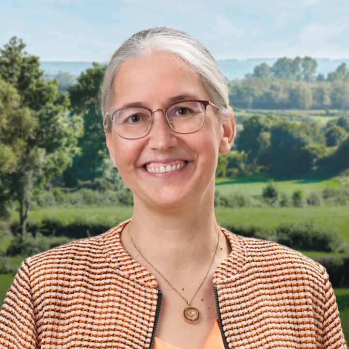 Kandidat - Profil Website - Export_19